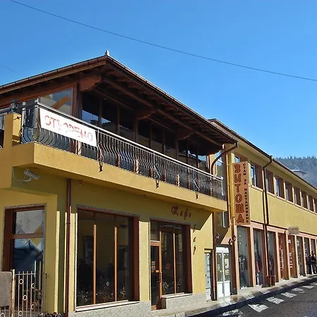 Hotel Vitosha