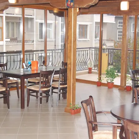 Vitosha Hotel 3*