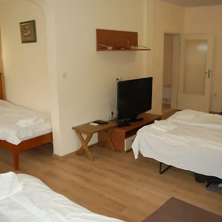 Vitosha 3*